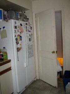 Basement door